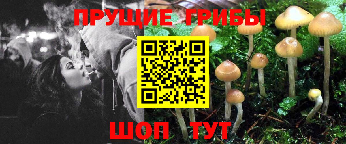 Галлюциногенные грибы мицелий  купить наркотик  Бийск  Вход с VPN  Псилоцибиновые грибы Cubensis 